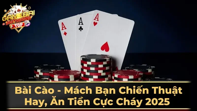 Bài cào