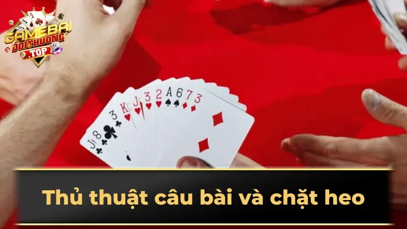 Thủ thuật câu bài và chặt heo